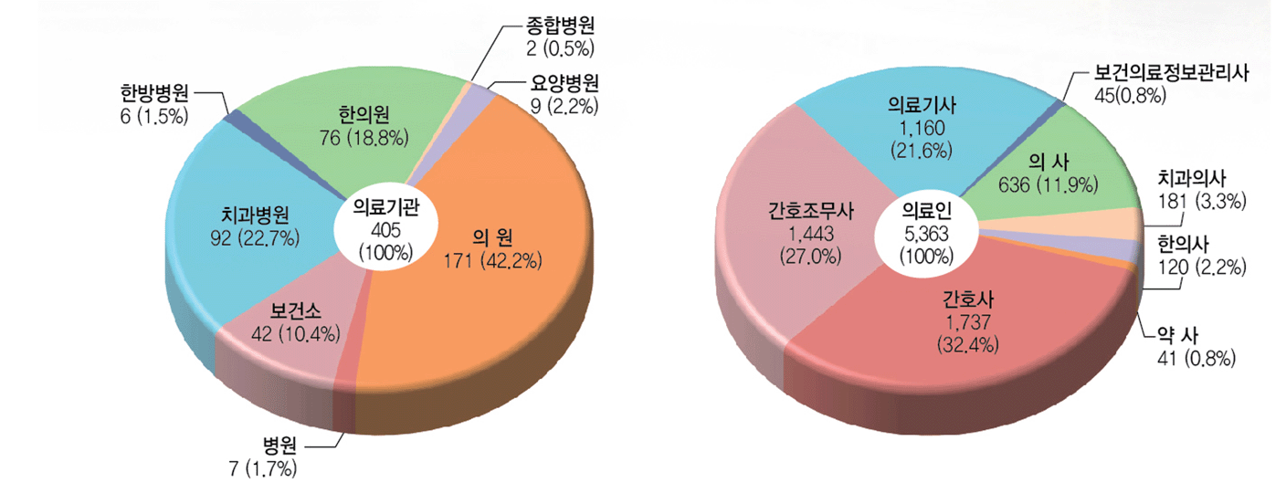 의료기관 405(100%) - 의 원 171 (42.2%), 병원7 (1.7%), 치과병원 92 (22.7%), 한방병원6 (1.5%), 한의원 76 (18.8%), 종합병원2 (0.5%), 요양병원9 (2.2%), 의료인 5,363(100%) - 의사 636 (11.9%), 치과의사 181 (3.3%), 한의사 120 (2.2%), 약사 41 (0.8%), 간호사1,443(27.0%), 간호조무사1,737(32.4%), 의료기사1,160(21.6%), 보건의려정보관리사 45(0.8%)